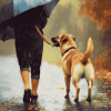 Rainy Day Dog Diamond Painting