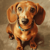 Red Dachshund Puppy Diamond Painting