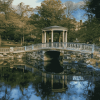 Roger Williams Park Landscapes Diamond Painting