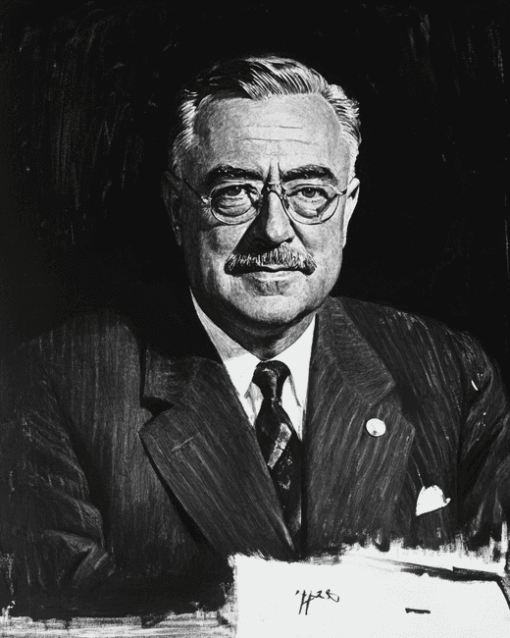 Roosevelt Black and White Diamond Painting