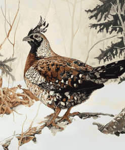 Ruffed Grouse Bird Diamond Painting