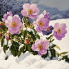 Snowy Blossoms Diamond Painting