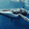 Spem Whale Marine Giant Diamond Painting