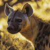 Spotted Hyena Animal Diamond Painting