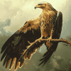 Spotted Indian Eagle Diamond Painting