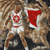 St George Illawarra Dragons Diamond Painting