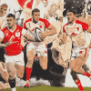 St George Illawarra Footballers Diamond Painting