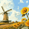 Sunflower and Dutch Windmill Landscape Diamond Painting