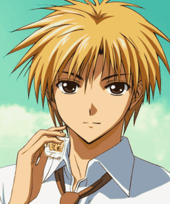 Takumi Usui from Maid Sama Diamond Painting