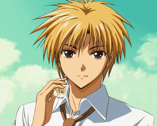 Takumi Usui from Maid Sama Diamond Painting