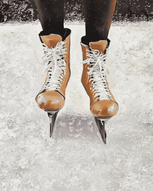 Vintage Ice Skating Diamond Painting