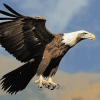 Vulture and Eagle Birds Diamond Painting