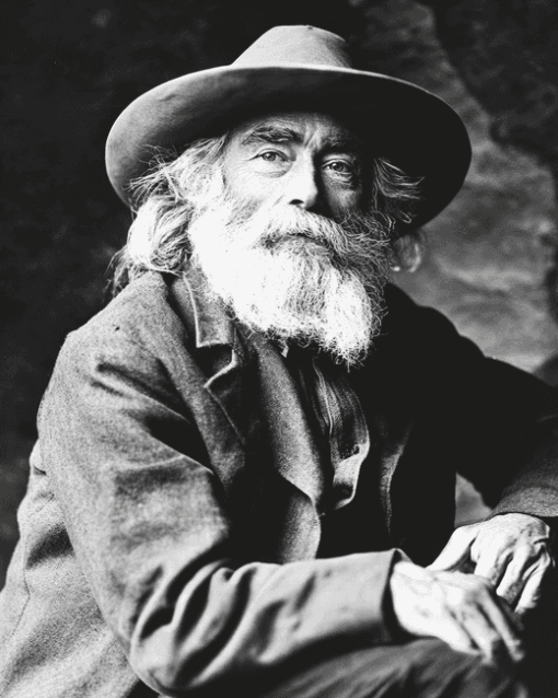 Walt Whitman Black White Diamond Painting