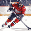 Washington Capitals Ice Hockey Diamond Painting