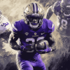 Washington Huskies Football Diamond Painting