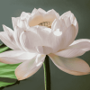 White Lotus Flower Diamond Painting