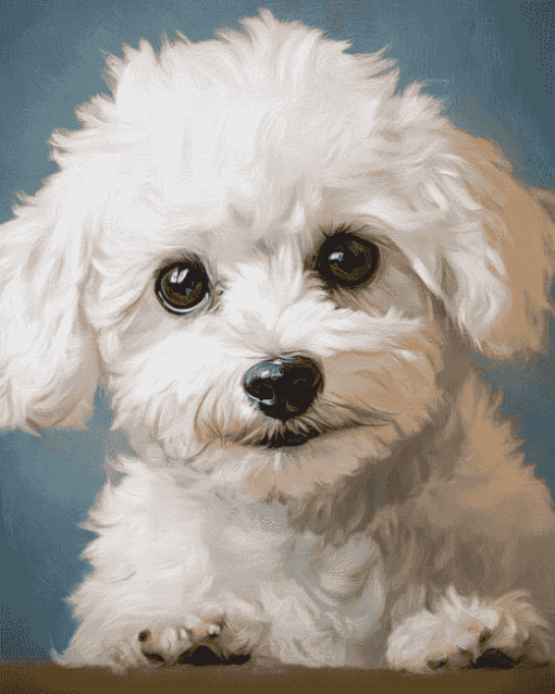 White Yorkiepoo Puppy Diamond Painting