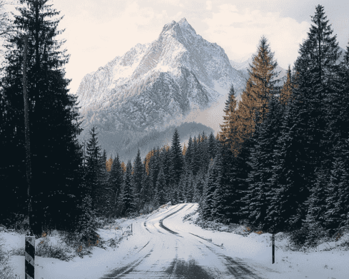 Winter Mountain Road Diamond Painting